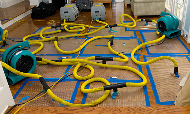 Professional Crawl Space Water Removal technician working in Underwood, WA